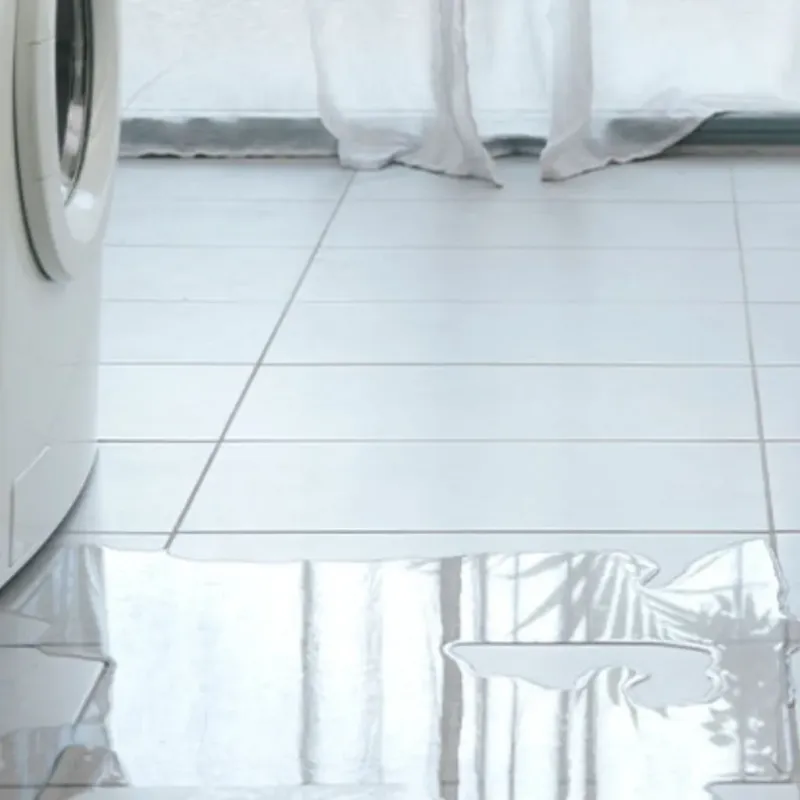 Appliance Leak Cleanup in Wapello County, IA