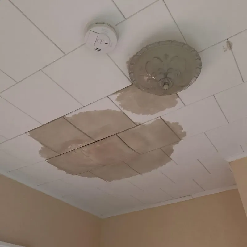 Ceiling Water Damage Repair in Wapello County, IA