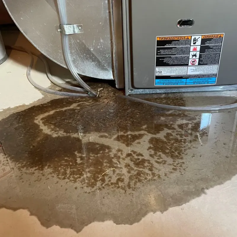 Pipe Burst and Leak Restoration in Wapello County, IA