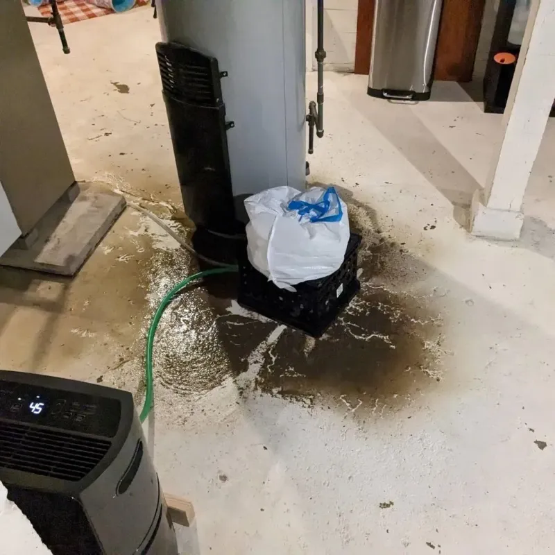 Sewage Backup Cleanup Service in Wapello County, IA